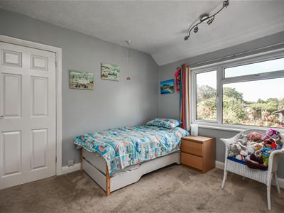 Picture 13